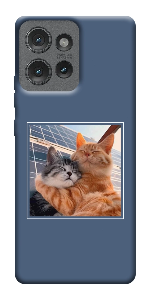 Чехол Кошачья нежность для Motorola Edge 50