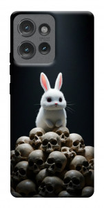 Чехол Bunny bones для Motorola Edge 50