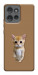 Чехол Kitty standing для Motorola Edge 50