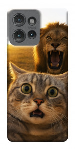 Чехол Shocked cat and lion для Motorola Edge 50