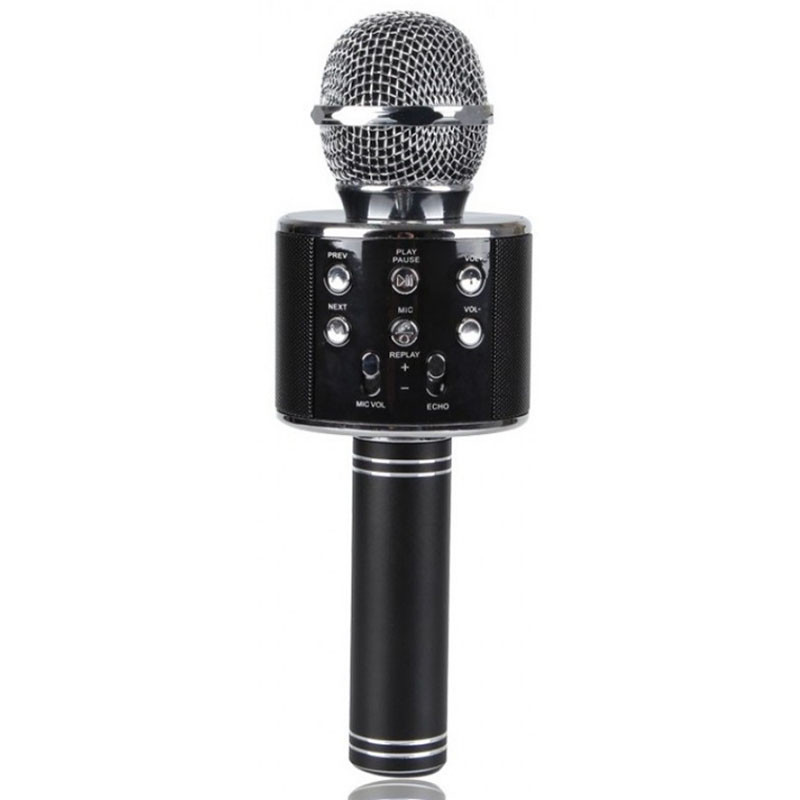 Караоке Микрофон-колонка WS858 (Black)
