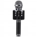 Караоке Микрофон-колонка WS858 (Black)