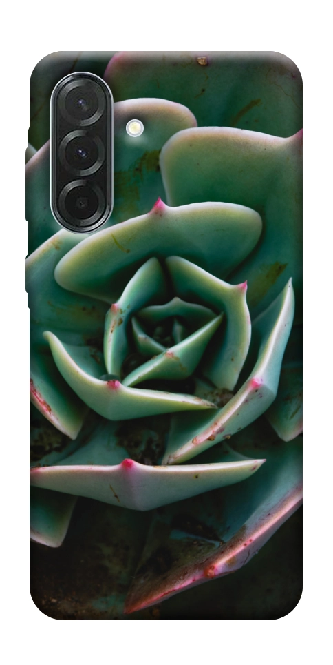 Чехол Эхеверия для Galaxy A37 5G