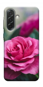 Чохол Троянда у саду для Galaxy A57 5G