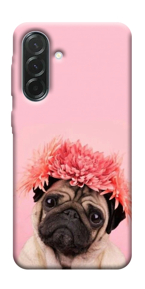 Чехол Мопс с цветами для Galaxy A37 5G