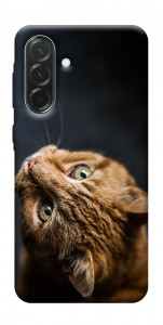 Чехол Рыжий кот для Galaxy A37 5G