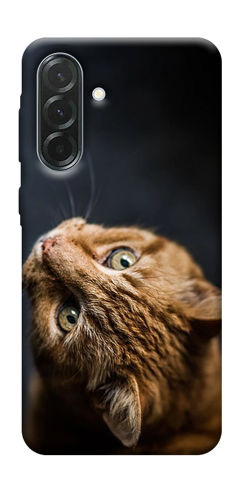 Чехол Рыжий кот для Galaxy A57 5G