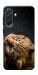 Чехол Рыжий кот для Galaxy A57 5G