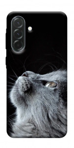 Чехол Cute cat для Galaxy A37 5G