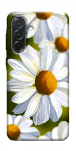 Чохол Ароматна ромашка для Galaxy A37 5G
