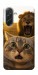 Чехол Shocked cat and lion для Galaxy A37 5G