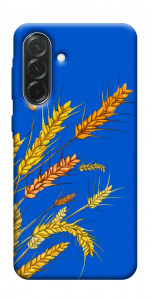 Чехол Колоски для Galaxy A57 5G