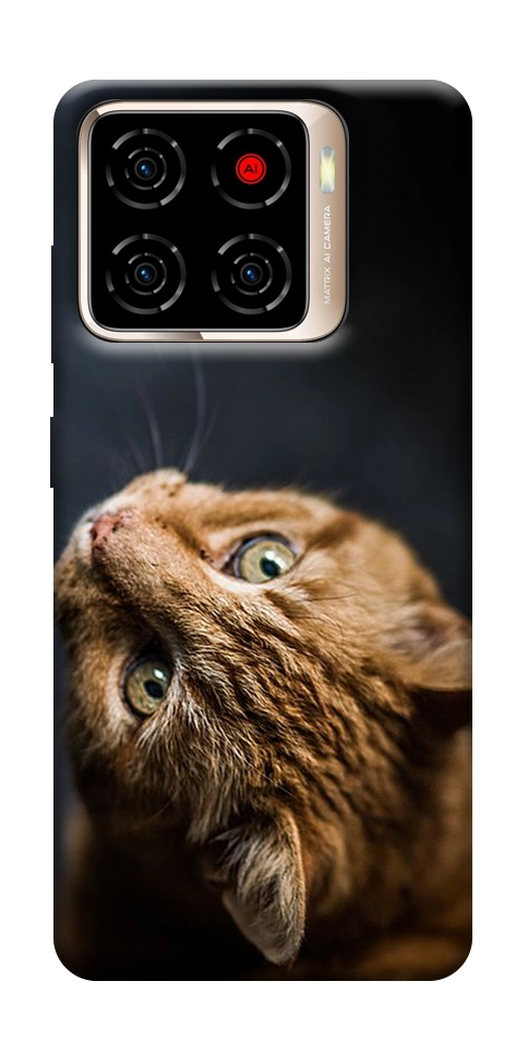 Чохол Рудий кіт для ZTE Blade A56