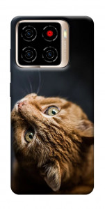 Чохол Рудий кіт для ZTE Blade A56