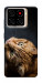 Чохол Рудий кіт для ZTE Blade A56