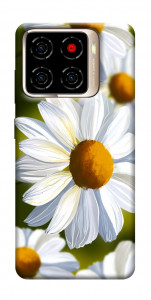 Чохол Ароматна ромашка для ZTE Blade A56