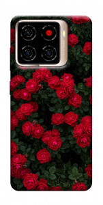 Чохол Eternal roses для ZTE Blade A56