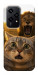 Чехол Shocked cat and lion для Huawei Honor 200 Lite