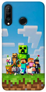 Чохол Block Adventure для Huawei P30 Lite