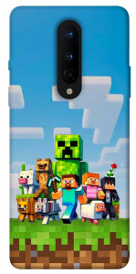 Чохол Block Adventure для OnePlus 8
