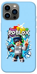 Чохол Energy boy для iPhone 13 Pro Max