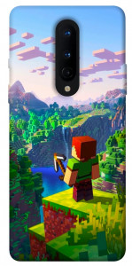 Чохол New Horizon для OnePlus 8