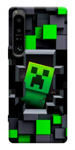 Чехол Creeper window для Sony Xperia 1 IV