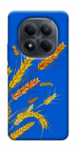 Чохол Колоски для Xiaomi Redmi Note 15 Pro 4G