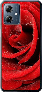 Чохол для Motorola Moto G54 Power Червона роза (Червоний)