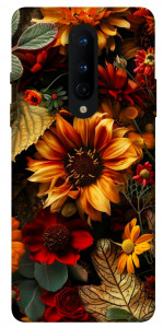 Чохол Autumn vibe для OnePlus 8