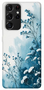 Чехол Blue minimal для Galaxy S21 Ultra