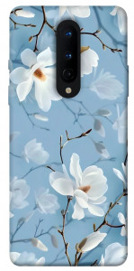 Чохол Cold white для OnePlus 8