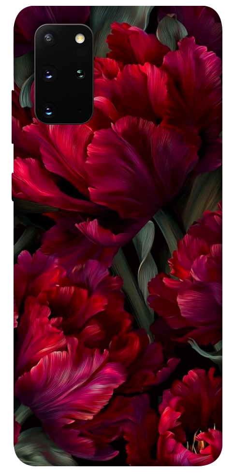 Чохол Passion flower для Galaxy S20 Plus (2020)