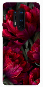 Чехол Passion flower для OnePlus 8 Pro