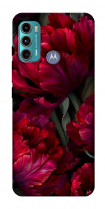 Чехол Passion flower для Motorola Moto G60