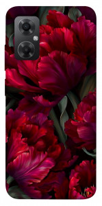 Чохол Passion flower для Xiaomi Redmi Note 11R