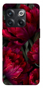 Чохол Passion flower для OnePlus 10T