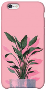 Чохол Pink plant для iPhone 6 (4.7'')