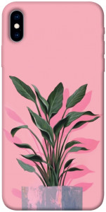 Чехол Pink plant для iPhone XS