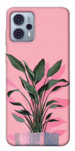 Чохол Pink plant для Motorola Moto G23