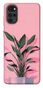 Чохол Pink plant для Motorola Moto G22