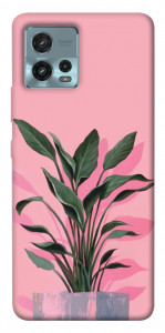 Чехол Pink plant для Motorola Moto G72