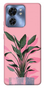 Чехол Pink plant для Motorola Edge 40