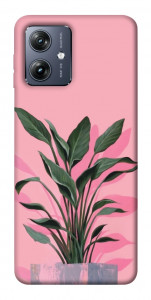 Чехол Pink plant для Motorola Moto G54