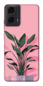 Чехол Pink plant для Motorola Moto G24