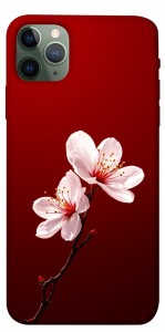 Чехол Sakura red для iPhone 11 Pro Max