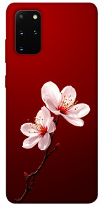 Чохол Sakura red для Galaxy S20 Plus (2020)