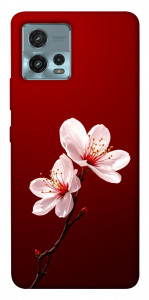 Чехол Sakura red для Motorola Moto G72