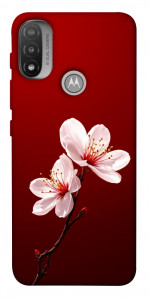 Чохол Sakura red для Motorola Moto E20