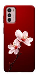 Чохол Sakura red для Motorola Moto G42